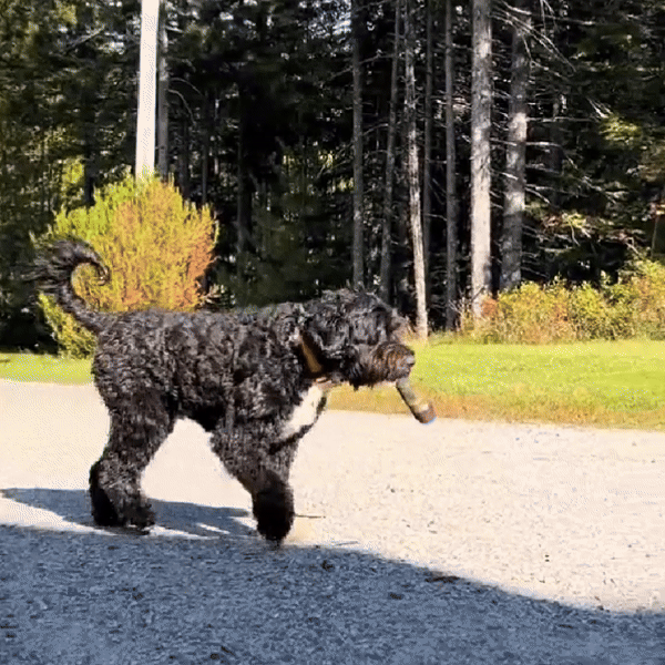 Lisslune | Plush Joint Toy for Relaxed Dogs