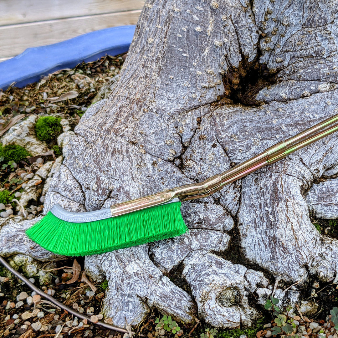 Lisslune | Nylon brush for bonsai trunk area cleaning – garden care tool