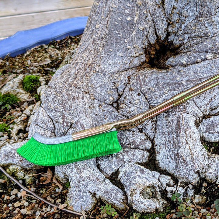 Lisslune | Nylon brush for bonsai trunk area cleaning – garden care tool