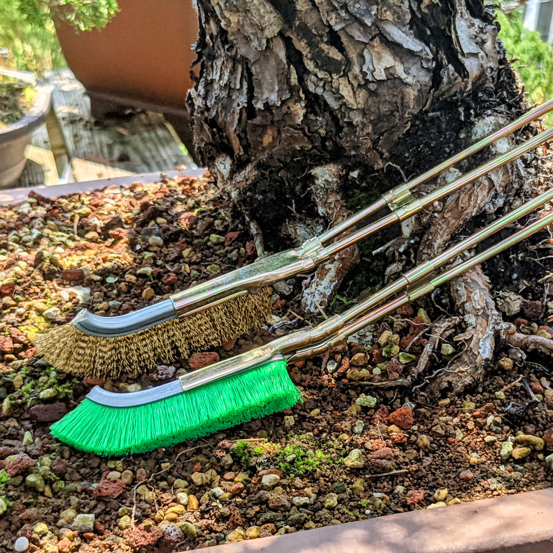 Lisslune | Nylon brush for bonsai trunk area cleaning – garden care tool