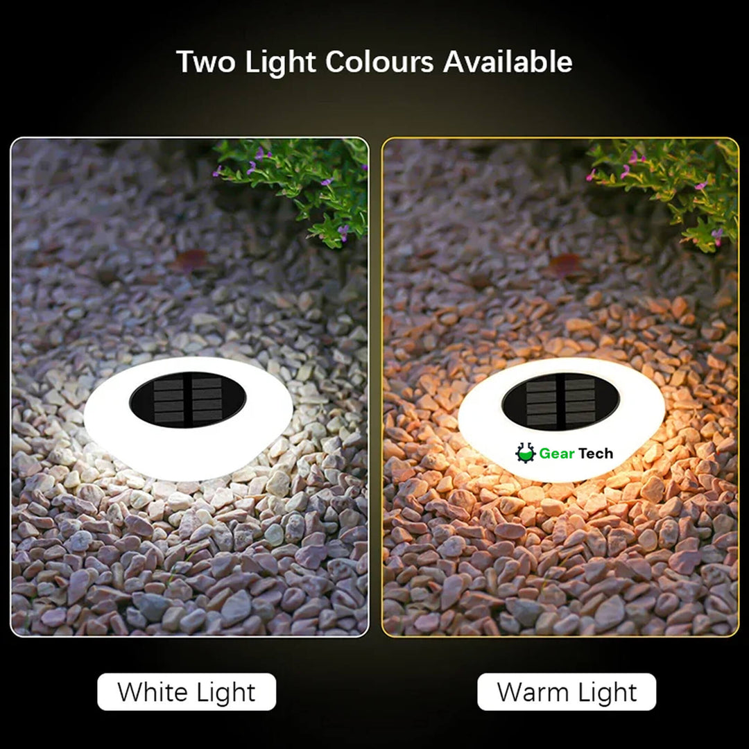 Lisslune | Solar-Powered Garden Lights | Rust-Proof, Weatherproof & Ideal for Year-Round Outdoor Use