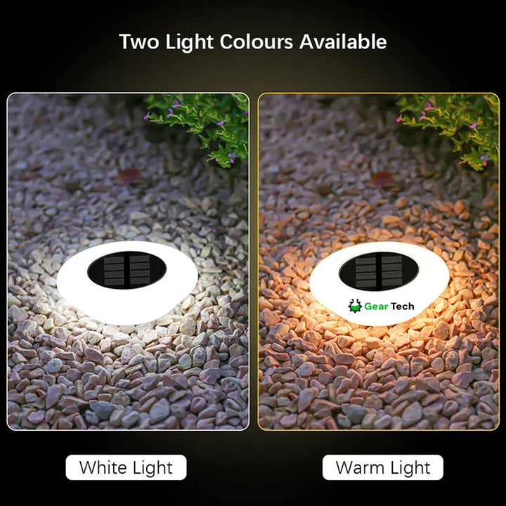 Lisslune | Solar-Powered Garden Lights | Rust-Proof, Weatherproof & Ideal for Year-Round Outdoor Use
