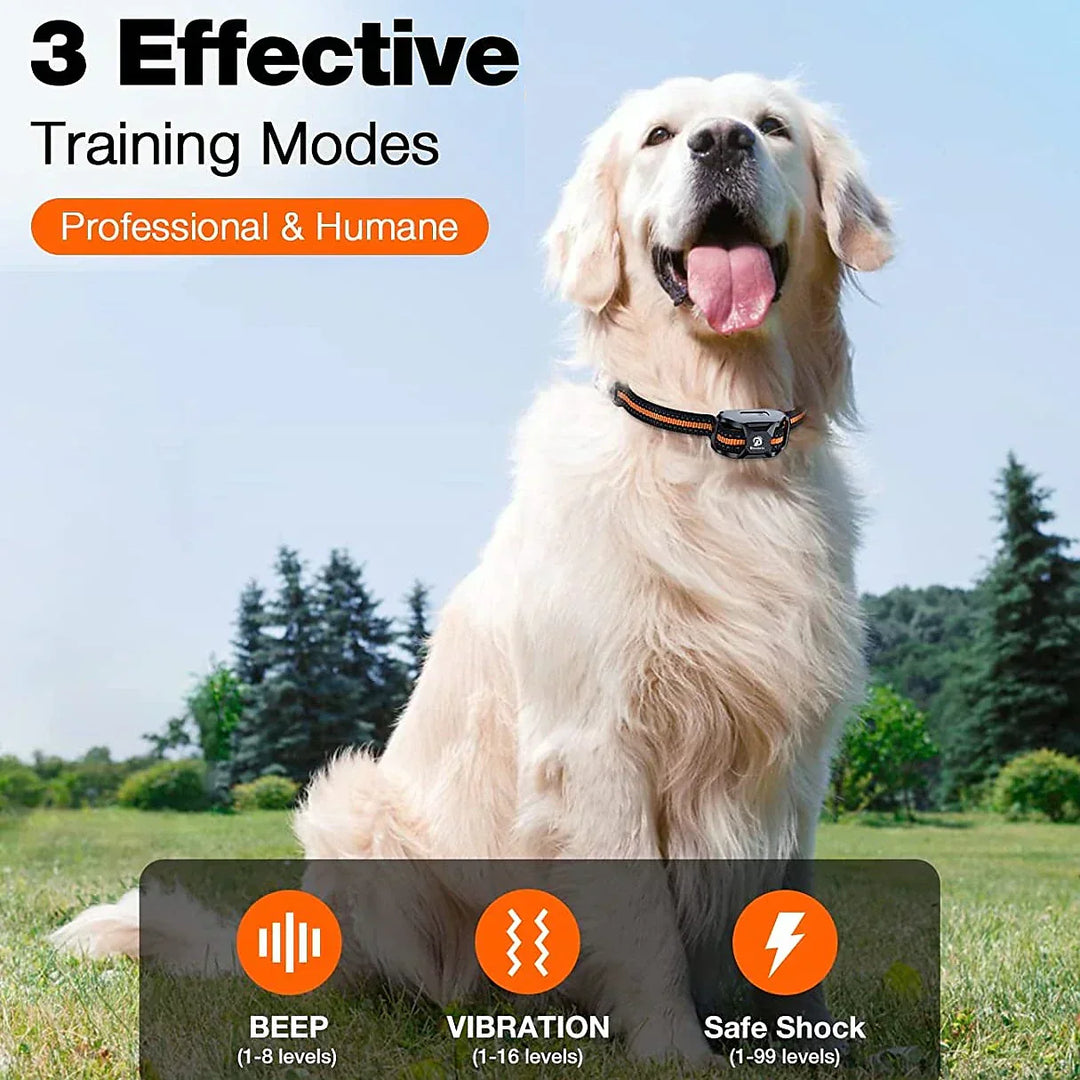 Lisslune | Advanced Dog Training Collar with Remote Control – Waterproof, Rechargeable, Up to 1000m Range