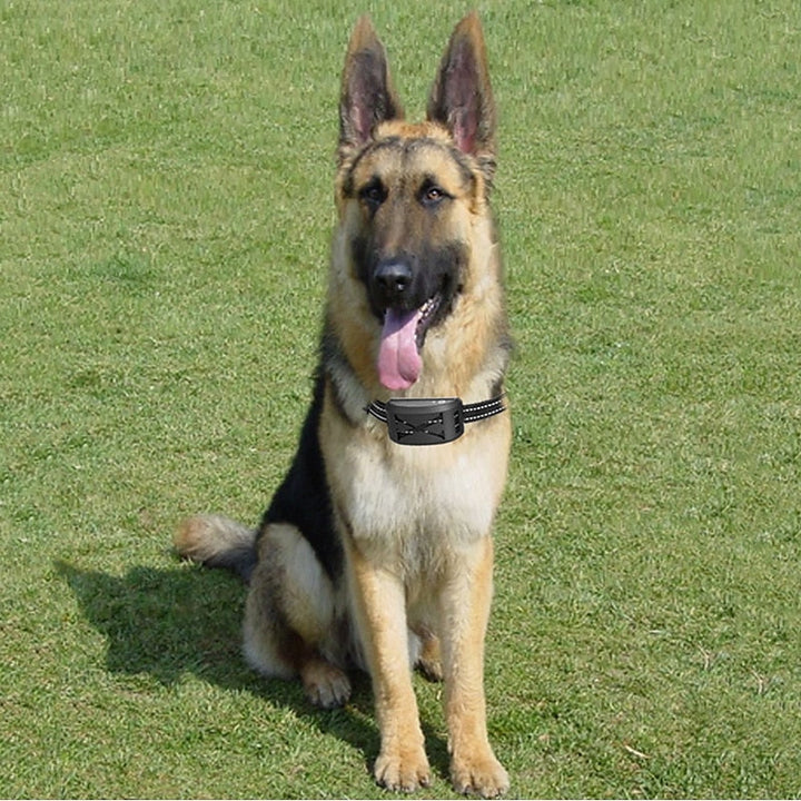 Lisslune | Wireless Dog Fence System with Adjustable Waterproof Collar – Up to 240 Metres Range