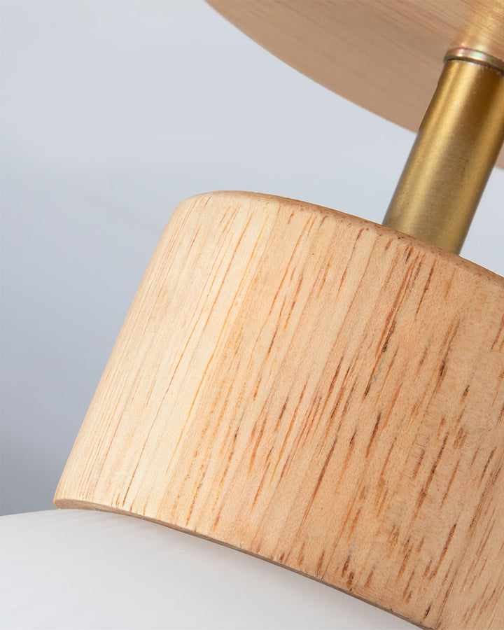 Lisslune | PerfkShine - Contemporary Ceiling Light