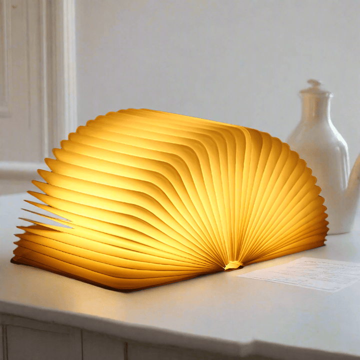 Lisslune | Frendorf Book Light