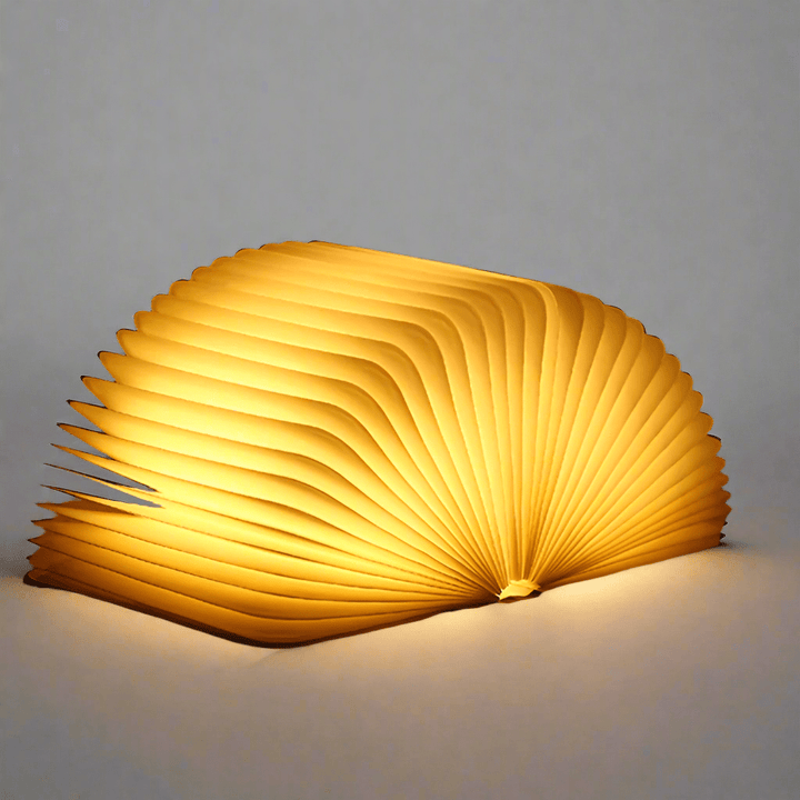Lisslune | Frendorf Book Light
