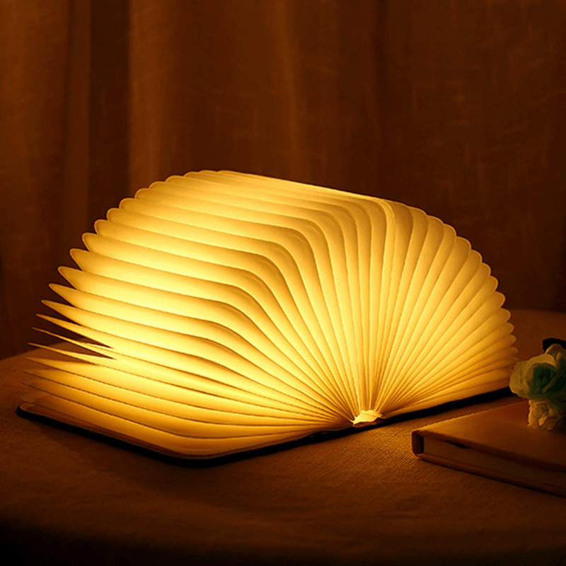 Lisslune | Frendorf Book Light