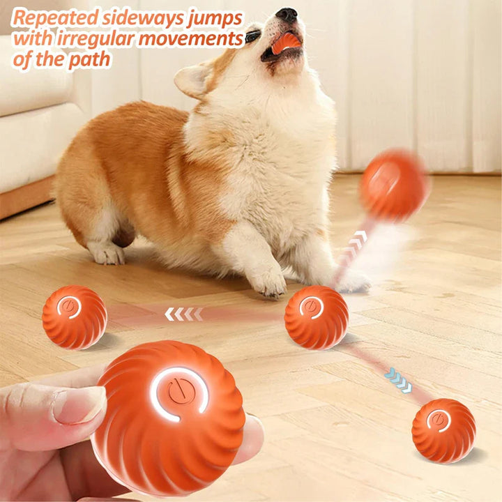 Lisslune | Dog Toy Ball