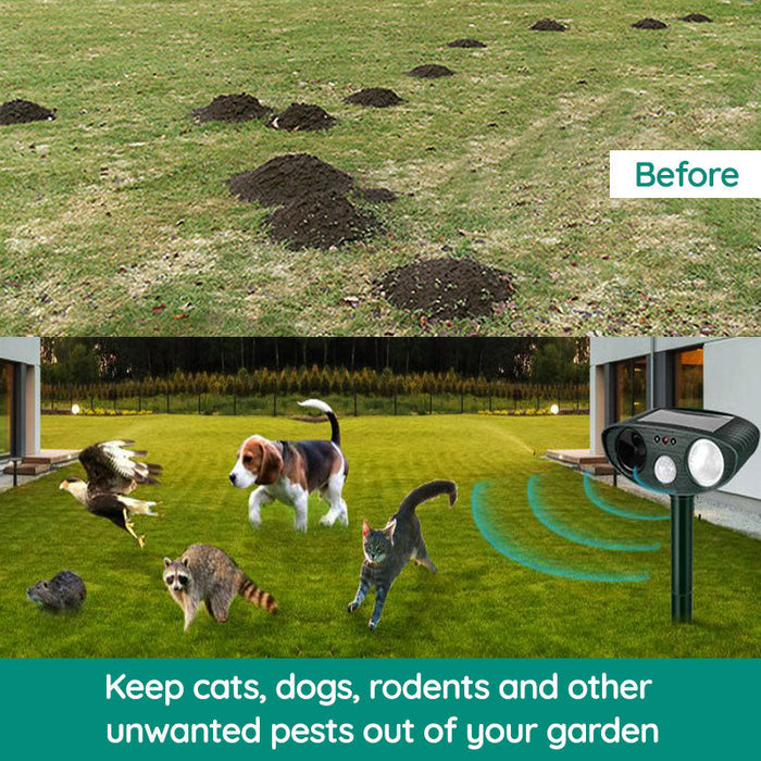 Lisslune | Raccoon Outdoor Ultrasonic Repeller - Solar-powered Ultrasonic Animal and Pest Control - Get rid of raccoons within 48 hours