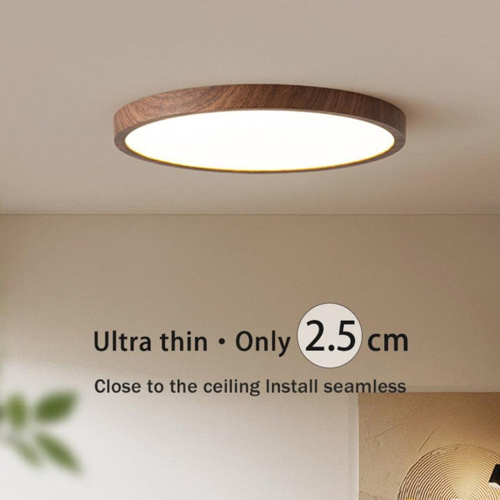 Lisslune | LED Ultrathin Circular Ceiling Light Fixture - Modern Design for Living Room & Kitchen Lighting