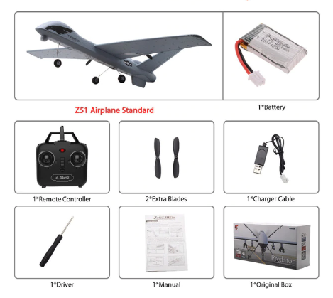 Lisslune | RC Plane | Remote Control Plane Predator Z51