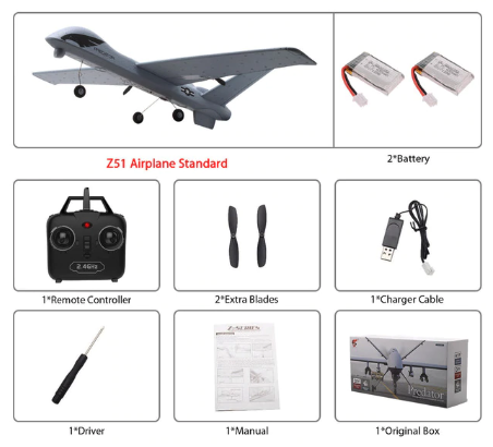 Lisslune | RC Plane | Remote Control Plane Predator Z51