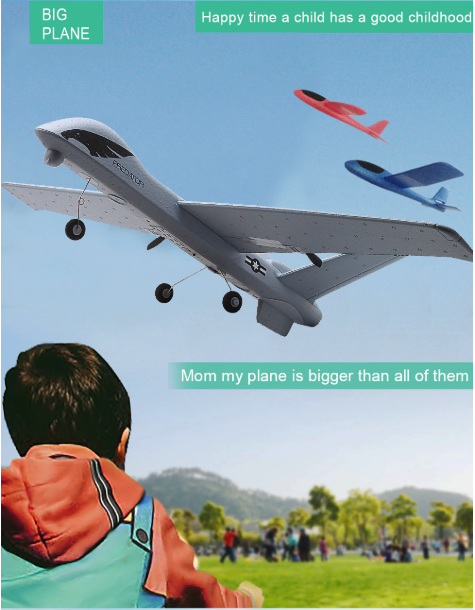 Lisslune | RC Plane | Remote Control Plane Predator Z51
