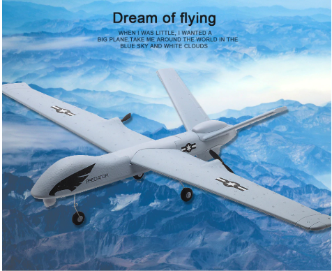 Lisslune | RC Plane | Remote Control Plane Predator Z51