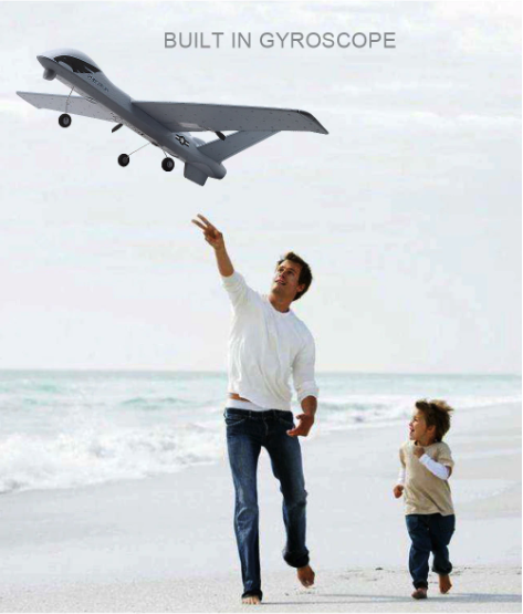 Lisslune | RC Plane | Remote Control Plane Predator Z51