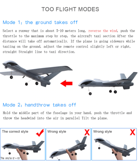 Lisslune | RC Plane | Remote Control Plane Predator Z51
