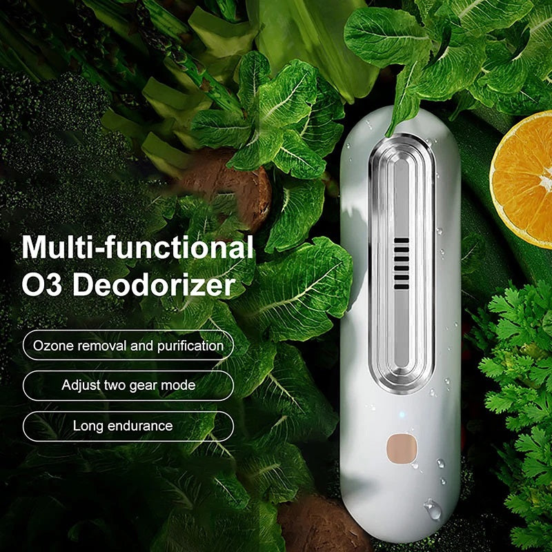Lisslune | Fridge Odor Eliminator