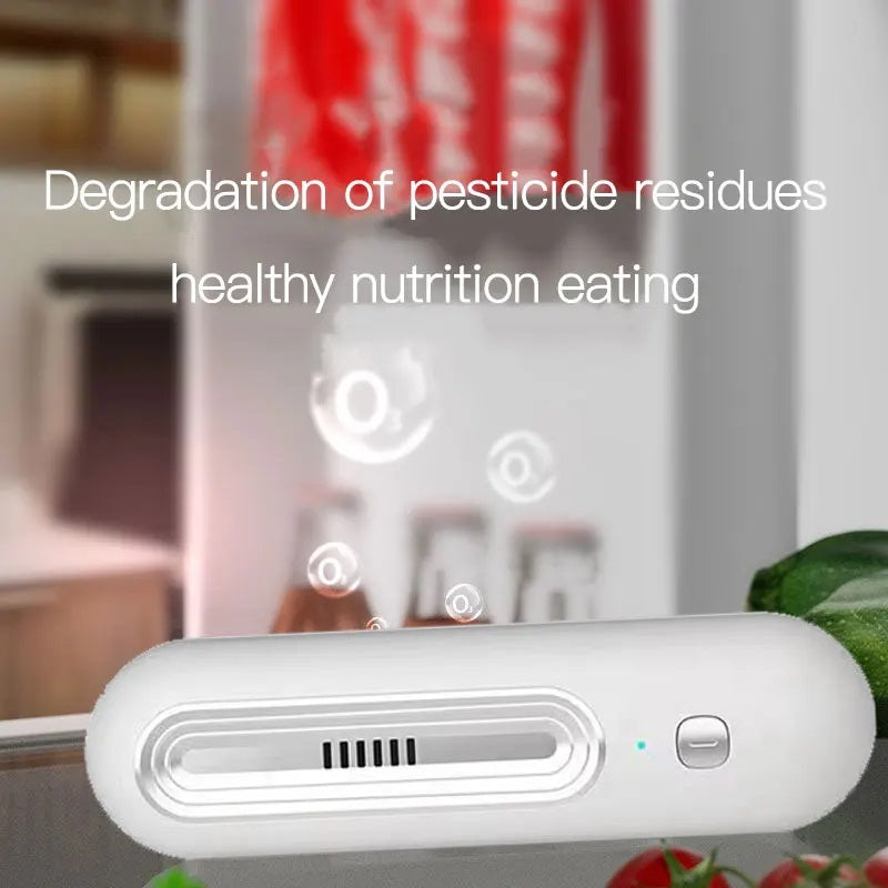 Lisslune | Fridge Odor Eliminator