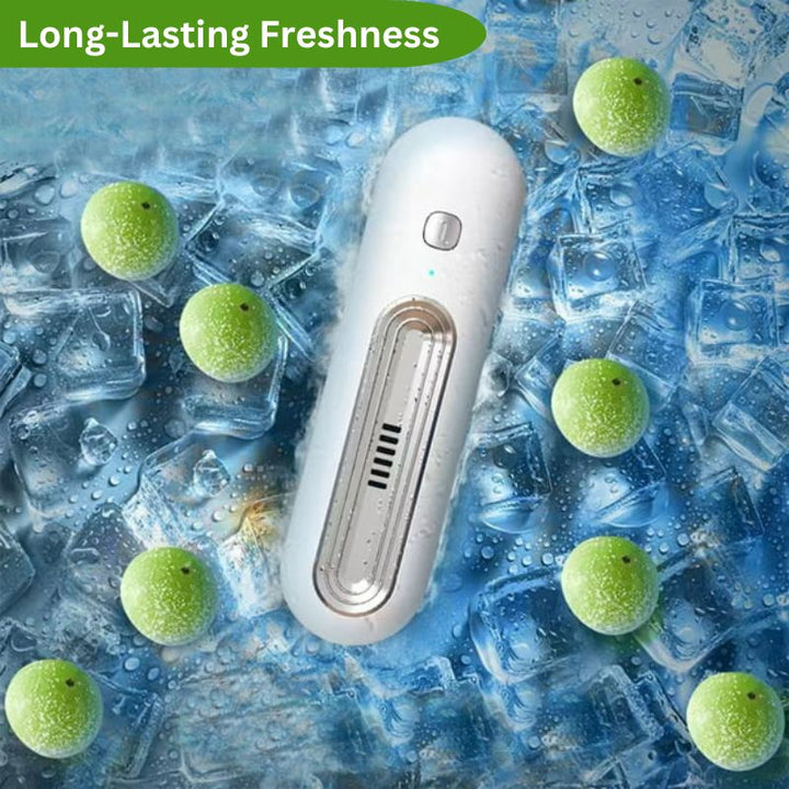 Lisslune | Fridge Odor Eliminator