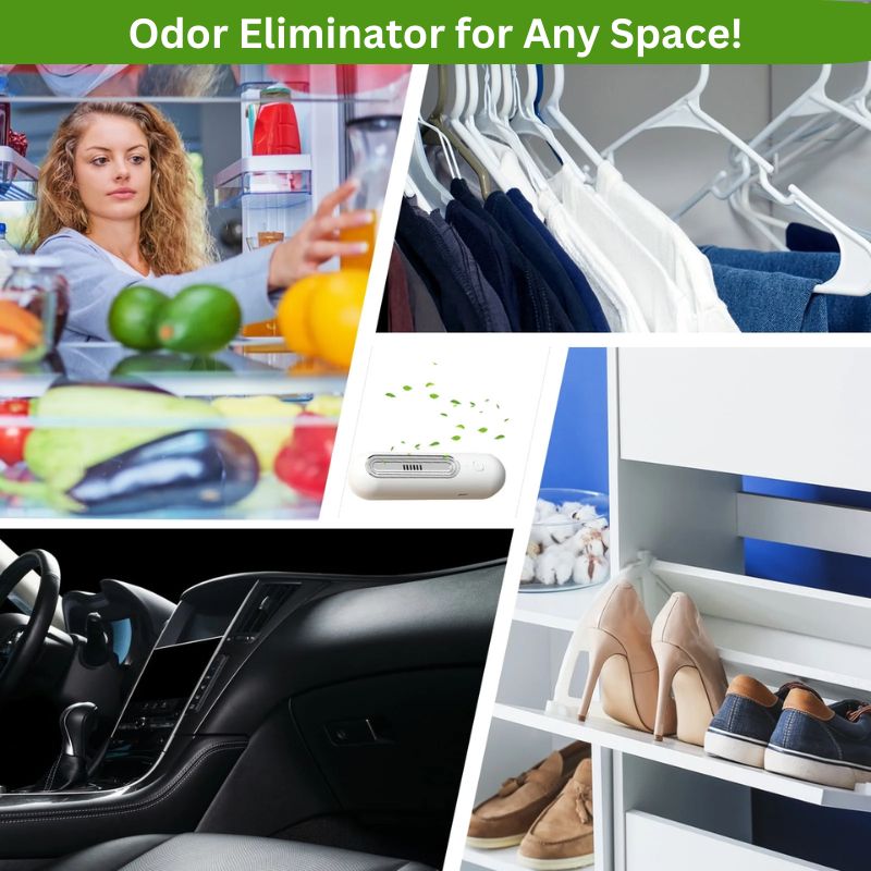 Lisslune | Fridge Odor Eliminator