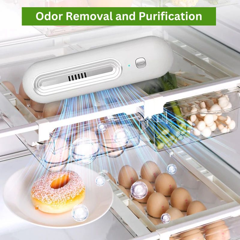 Lisslune | Fridge Odor Eliminator