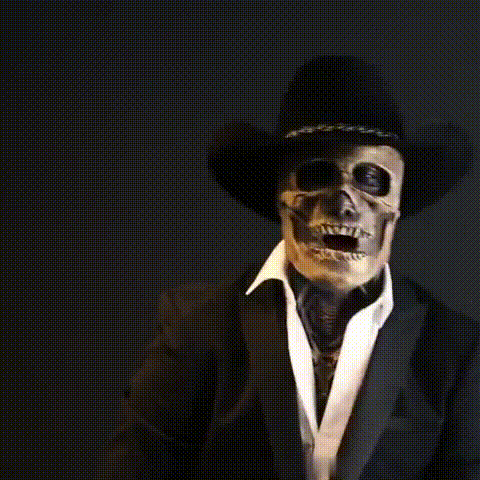 Lisslune | Realistic Halloween Skull Mask with Brain Detail