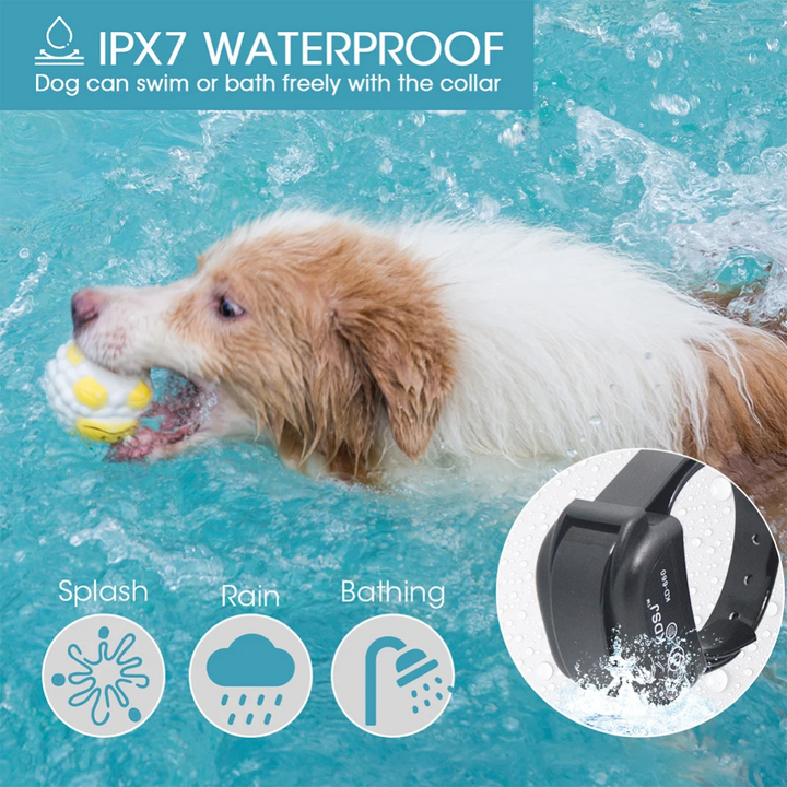 Lisslune | Invisible Electronic Fence for Dogs and Cats