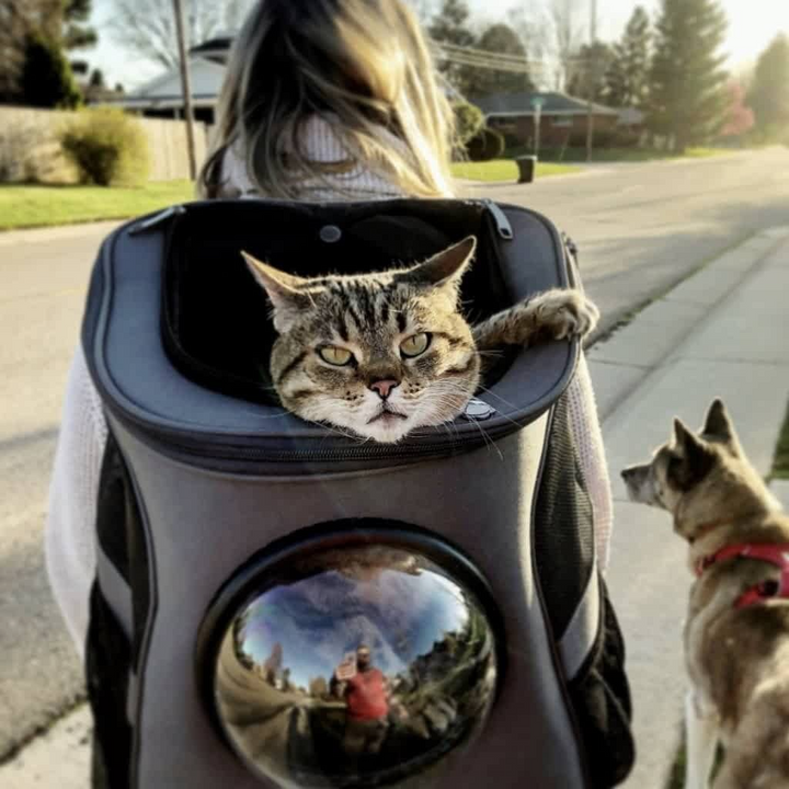 Lisslune | PurrVenture Backpack – Portable Pet Carrier for Cats and Small Pets