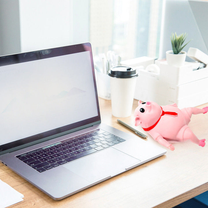 Lisslune | RelaxPig Stress Relief Toy