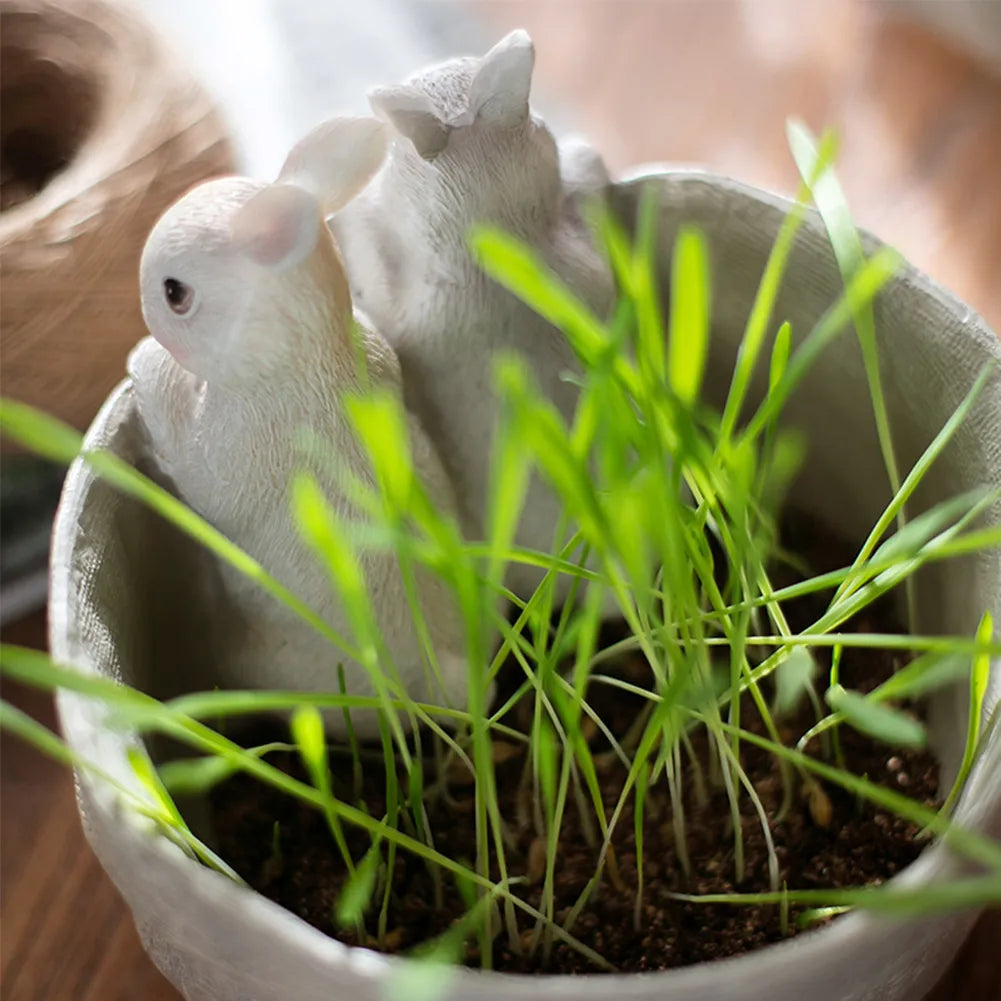 Lisslune | MiniGreen Pocket Planter – Compact Plant Box for Indoor and Outdoor