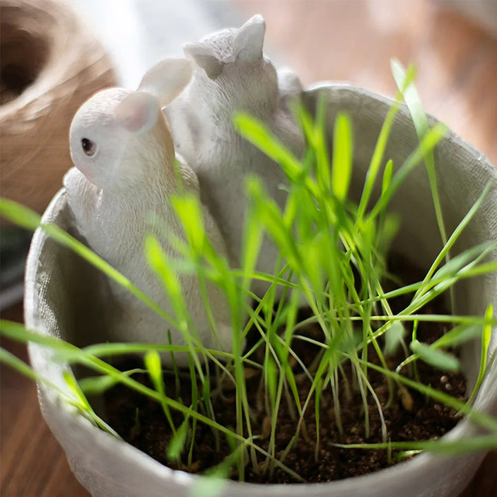 Lisslune | MiniGreen Pocket Planter – Compact Plant Box for Indoor and Outdoor