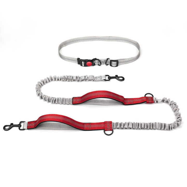 Lisslune | Telescopic Double Grip Multifunctional Dog Leash