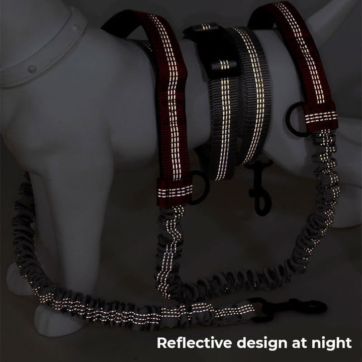 Lisslune | Telescopic Double Handle Multifunctional Dog Leash