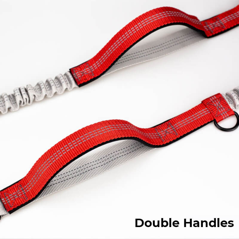 Lisslune | Telescopic Double Handle Multifunctional Dog Leash