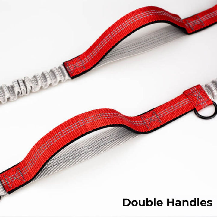 Lisslune | Telescopic Double Grip Multifunctional Dog Leash