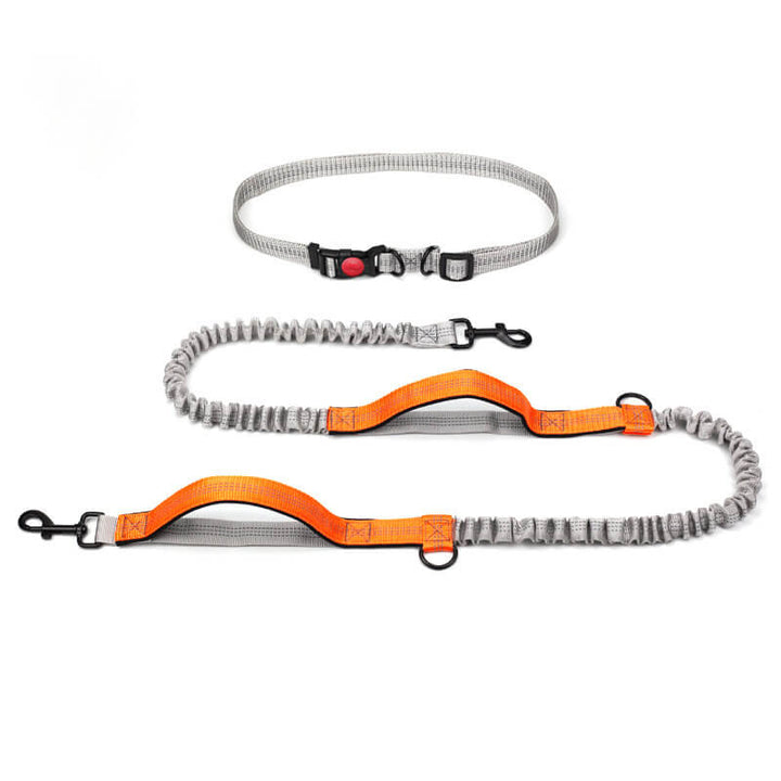 Lisslune | Telescopic Double Handle Multifunctional Dog Leash