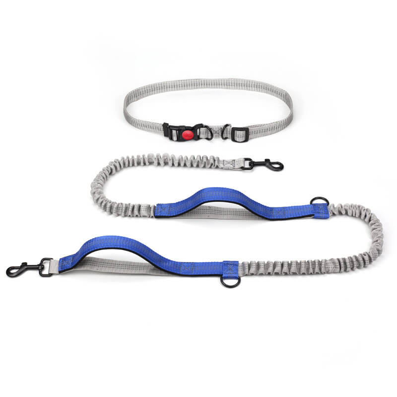 Lisslune | Telescopic Double Grip Multifunctional Dog Leash