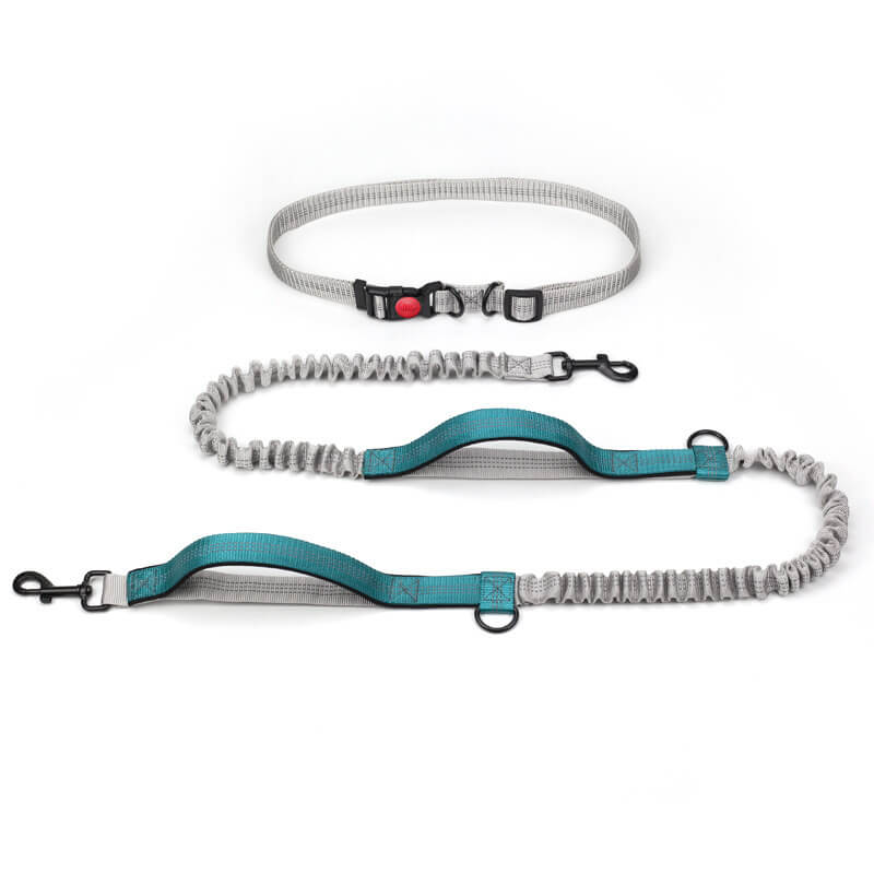 Lisslune | Telescopic Double Handle Multifunctional Dog Leash