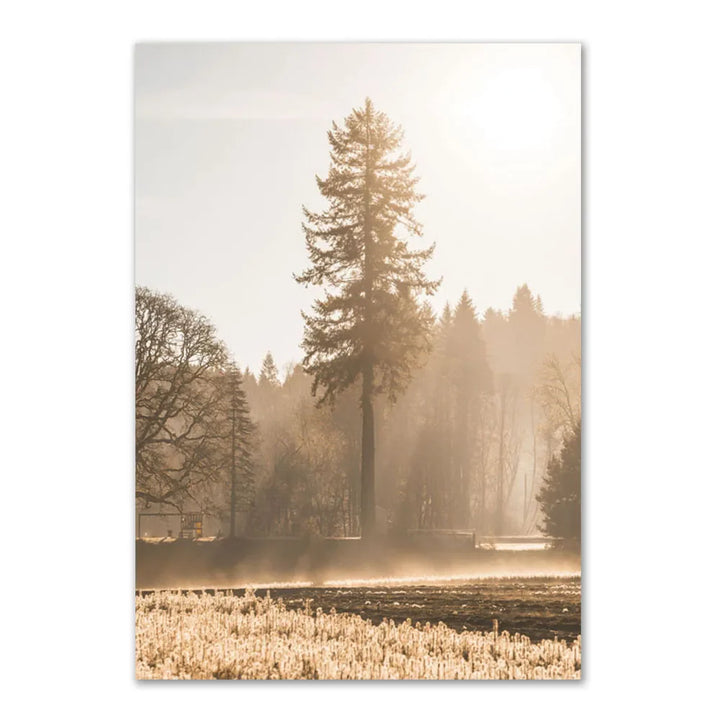 Lisslune | Reed Canvas Poster