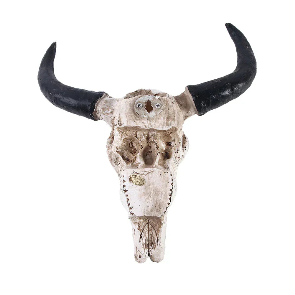 Lisslune | HornAura - Longhorn Skull for Your Interior