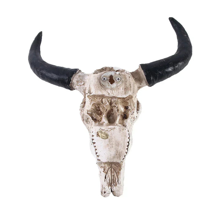 Lisslune | HornAura - Longhorn Skull for Your Interior