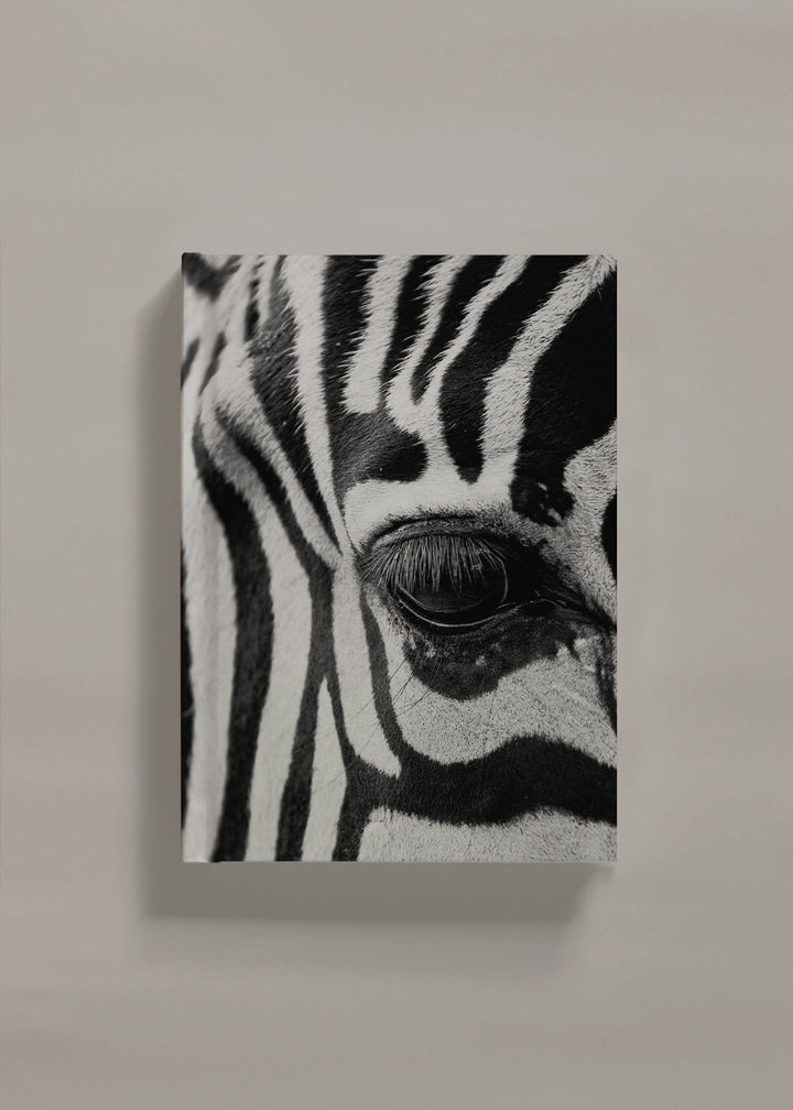 Lisslune | Zebra Focus