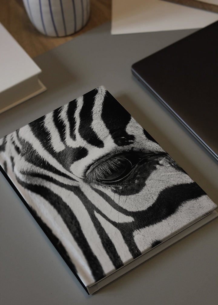 Lisslune | Zebra Focus
