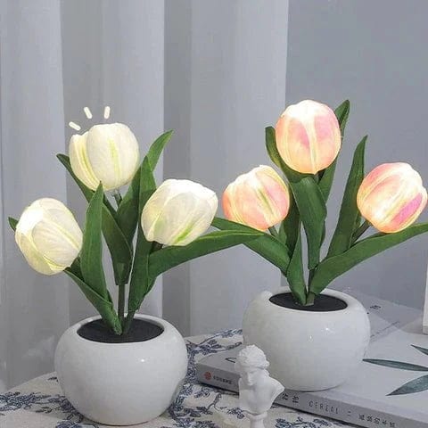 Lisslune | Glowing Tulip - Beautiful visual effect