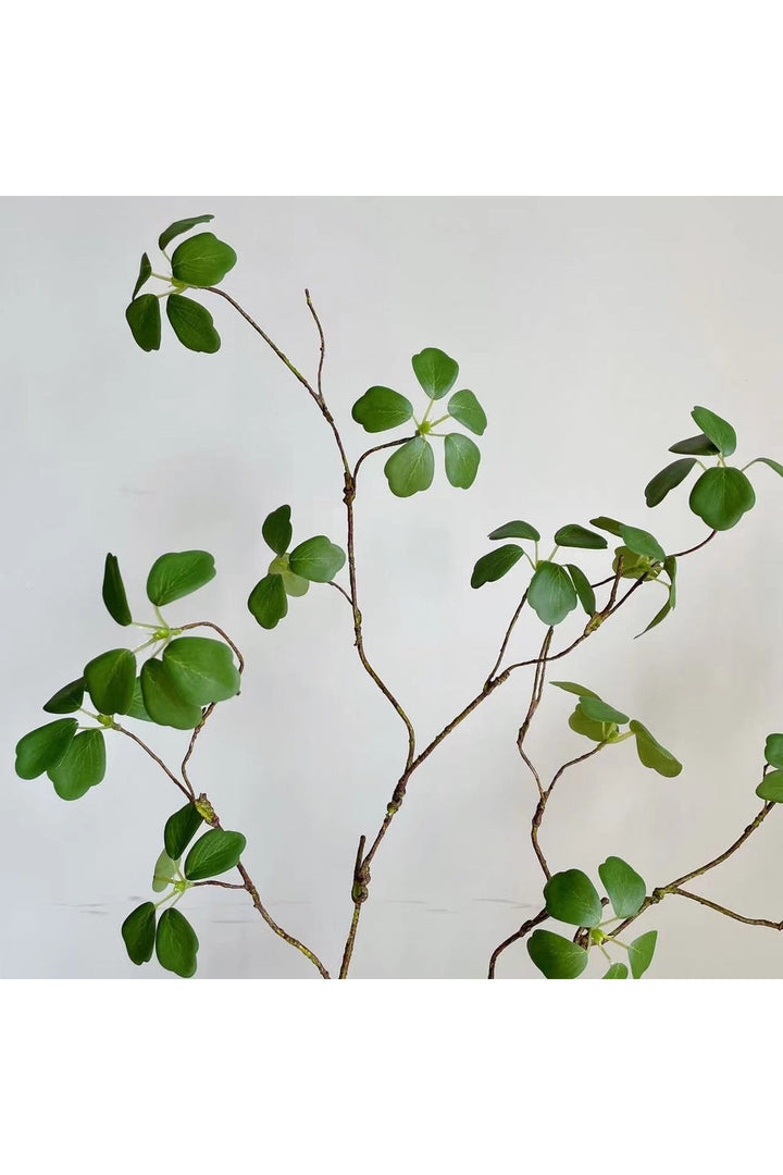 Lisslune | Style Green Leaf Ivy