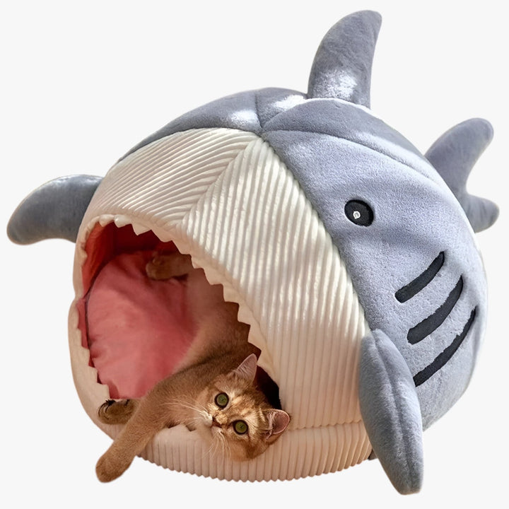Lisslune | SoftBloom Shark Cat Bed – Cozy Hideaway for Indoor
