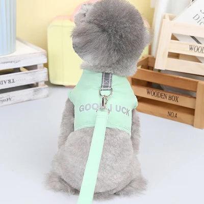 Lisslune | Swinging bear motif mesh harness and bow tie leash combination for small dogs and cats - Trendy pet vest
