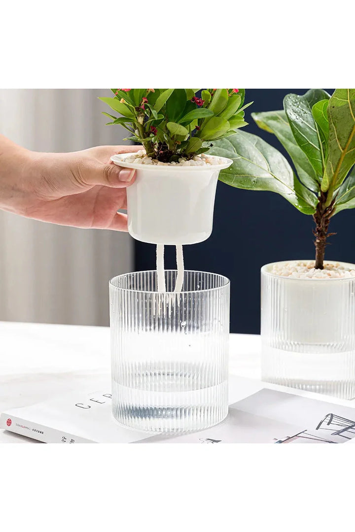 Lisslune | Fish tank plants pot