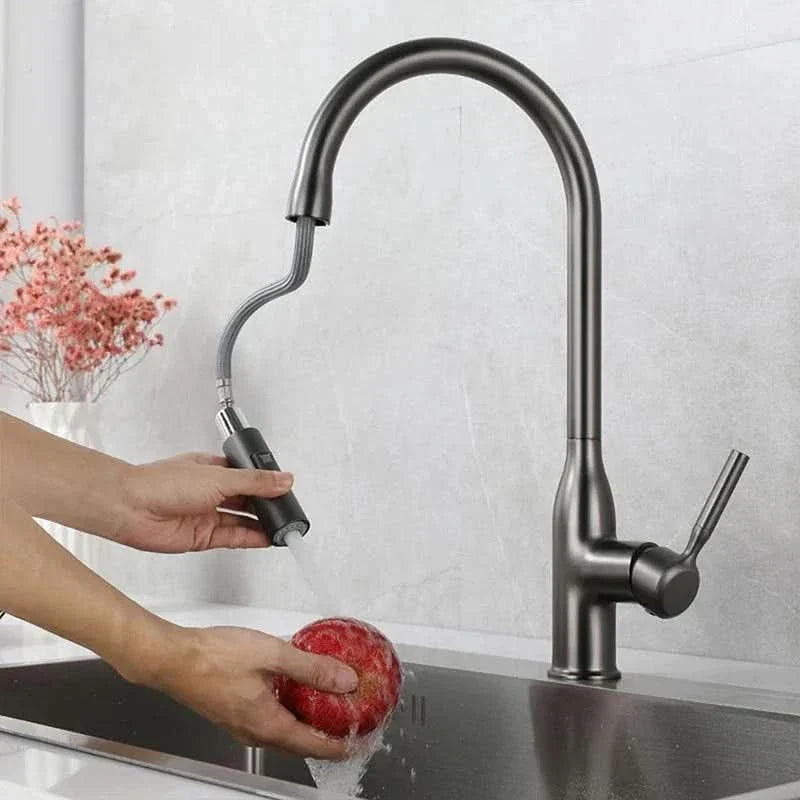 Lisslune | Stainless Steel Kitchen Faucet with Pull-Out Sprayer